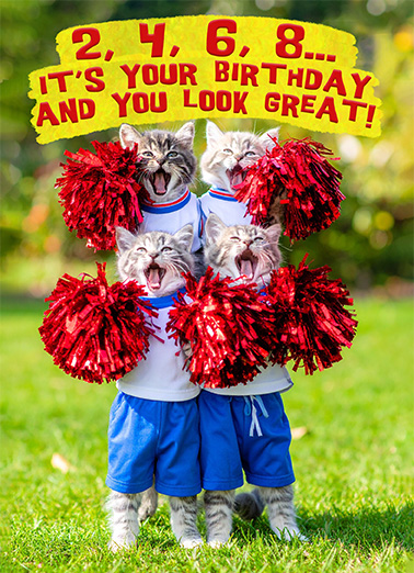 Cats Cheering Birthday Card Cover