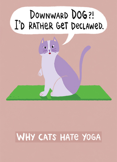 Cats Hate Yoga Cute Animals Card Cover