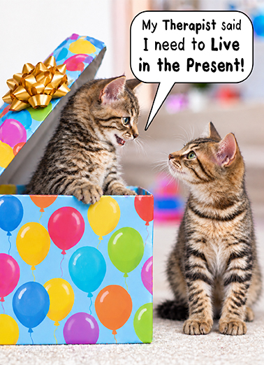 Cats In Present Birthday Card Cover
