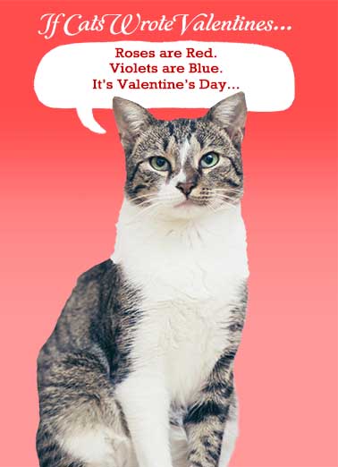 Cats Wrote Valentines Valentine's Day Ecard Cover