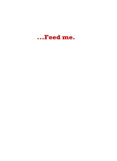 Cats Wrote Valentines Valentine's Day Ecard Inside