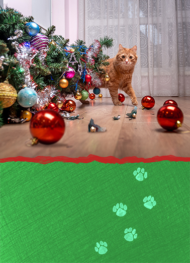 Catsmess - Funny Christmas Card to personalize and send.