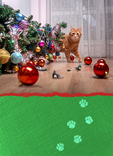 Catsmess Humorous Ecard Cover