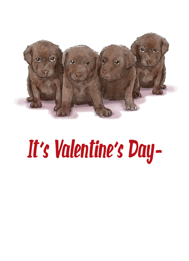 Chocolate Labs Val Dogs Card Cover