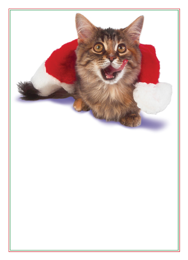 Christmas Cat  Ecard Cover