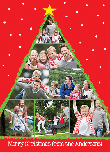 Christmas Tree Photos Christmas Card Cover