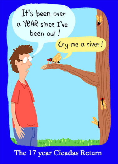 Cicadas Return FD  Card Cover