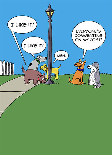 Comment on Post Dogs Ecard Cover
