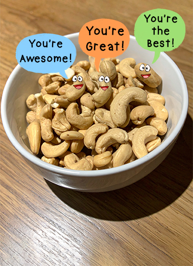Complimentary Nuts Birthday Ecard Cover