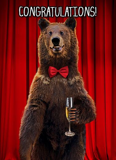 Congrats Bear  Ecard Cover