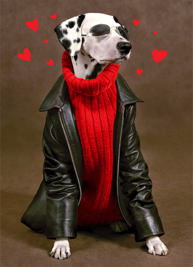 Cool Dude VAL Valentine's Day Ecard Cover