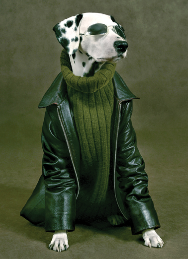 Cool Dude 5x7 greeting Card Cover