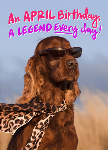 Cooler Than April Dogs Ecard Cover