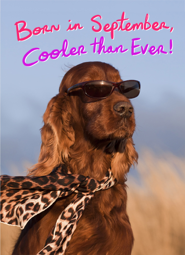 Cooler Than Ever September Birthday Card Cover