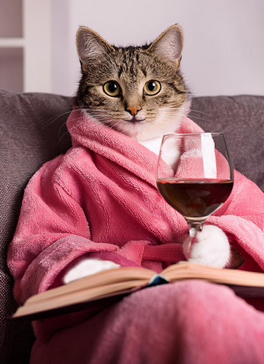 Cozy Comfort Cat Mother's Day Card Cover