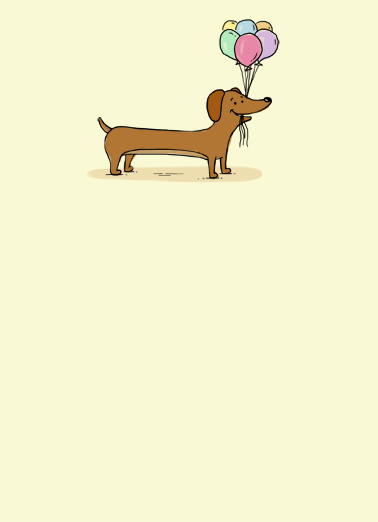 Dachshund With Balloons Birthday Card Cover