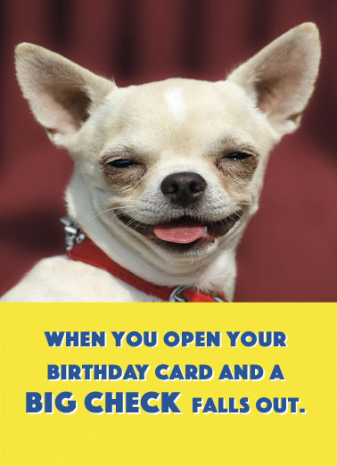 Dog Big Check Birthday Ecard Cover