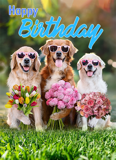 Dog Bouquet BDAY Dogs Ecard Cover