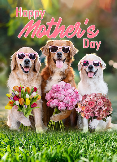 Dog Bouquet Mother's Day Card Cover