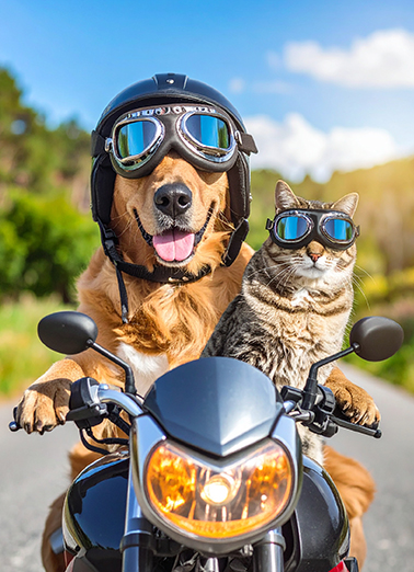 Dog Cat Motorcycle Anniversary Anniversary Ecard Cover