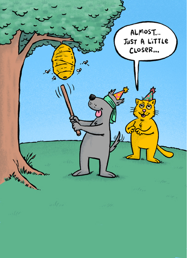 Dog Cat Pinata From the Dog Card Cover