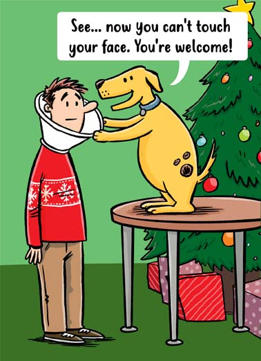 Dog Cone Christmas Pandemic Ecard Cover