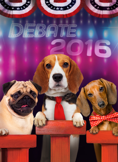 Dog Debate  Ecard Cover