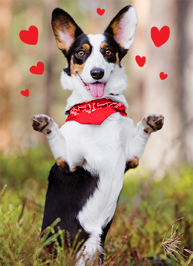 Funny Valentine S Day Ecard Dog Hug From Cardfool Com
