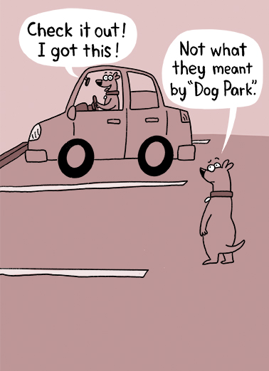 Dog Park Birthday Card Cover