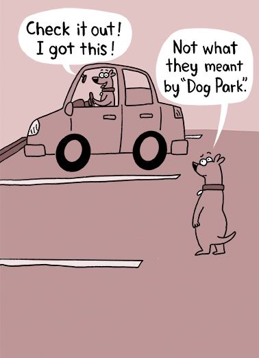 Dog Park  Ecard Cover