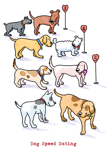 Dog Speed Dating VAL Cute Animals Card Cover