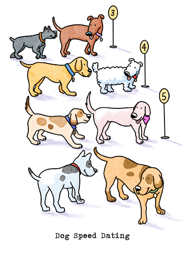 Dog Speed Dating Illustration Ecard Cover