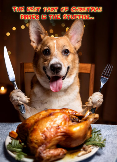 Dog Stuffing Face Christmas Ecard Cover