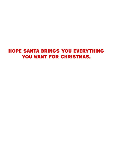 Dog%20tennis%20balls inside