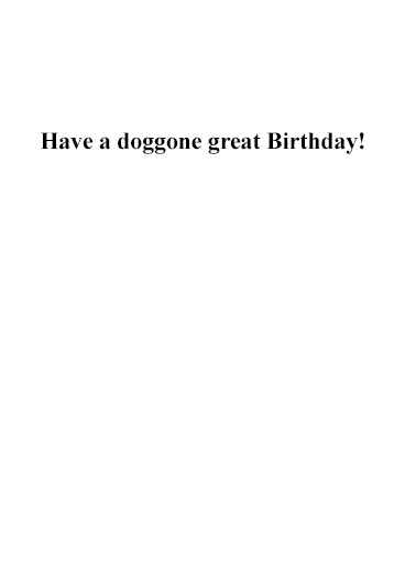 Dog Video Conference Birthday Card Inside