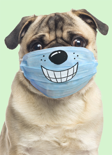 Dog Wearing Mask FD Father's Day Card Cover