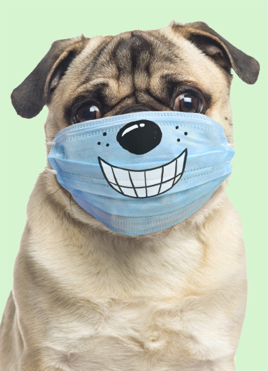 Dog Wearing Mask FD 5x7 greeting Ecard Cover