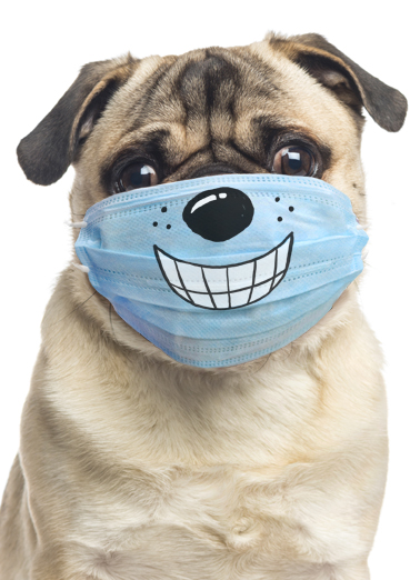 Dog Wearing Mask Face Mask Card Cover