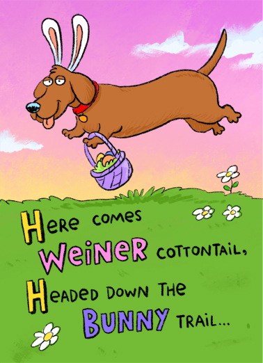 Doggone Easter Cartoons Card Cover