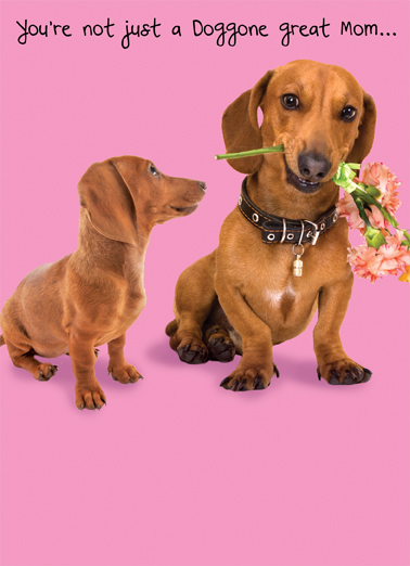 Doggone For Any Mom Card Cover