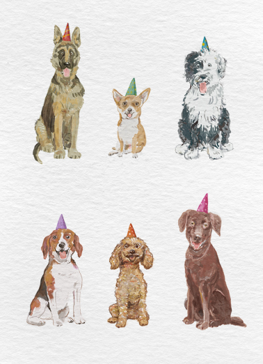 Dogs Day  Card Cover