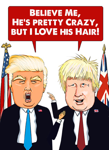 Donald Boris Funny Political Ecard Cover