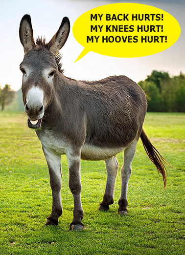 Donkey Pain Hurt Aging Ecard Cover