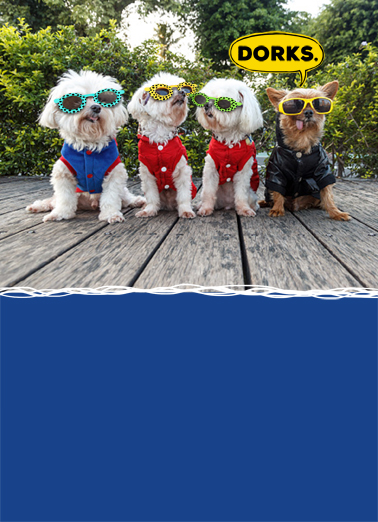 Dorks Dog Sunglasses Humorous Ecard Cover