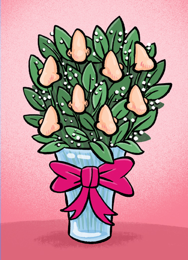 Dozen Noses Valentine's Day Ecard Cover