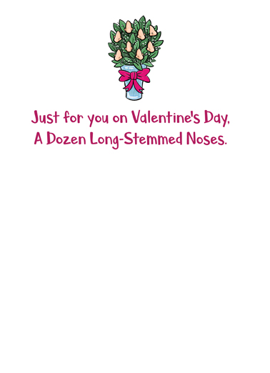 Dozen Noses Valentine's Day Ecard Inside