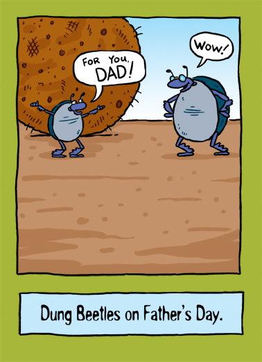Dung Beetles Dad Illustration Card Cover