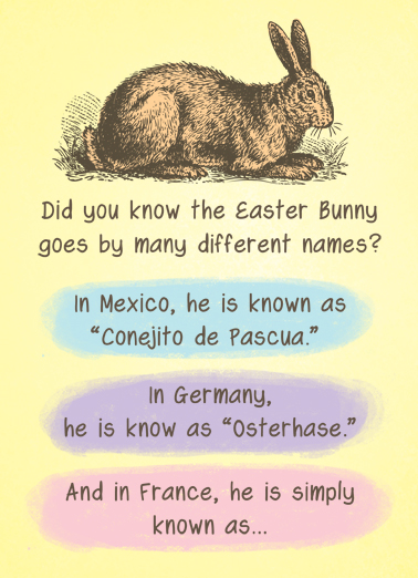 Easter Bunny Names Easter Ecard Cover