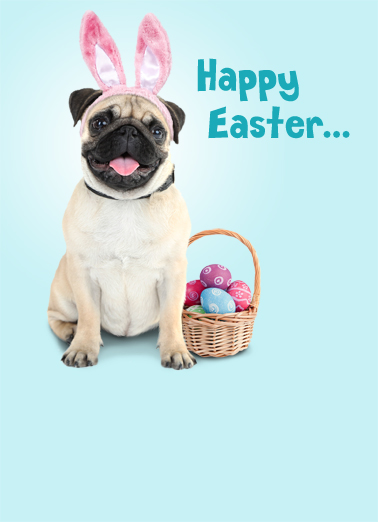 Easter Pugs Kisses Dogs Card Cover