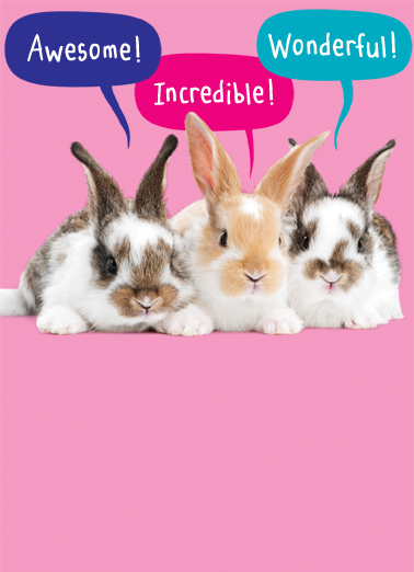 Every Bunny Funny Animals Card Cover